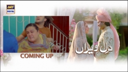 Dil-e-Veeran Episode 31 - 7th Jul 2022